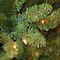 7.5 ft. Pre-lit Kingswood Fir Pencil Artificial Christmas Tree, Multicolor Lights